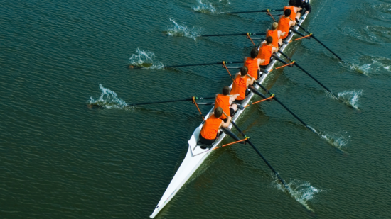 Directed Trusts (2560 x 1442 px)